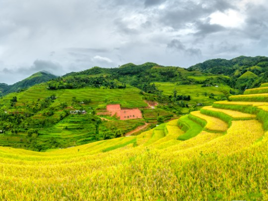 Vietnam Shines Bright: Hà Giang & Hội An Among World’s Most Beautiful Destinations