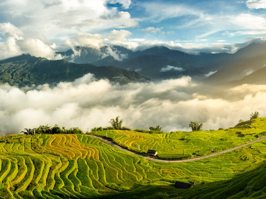 The Magical Cloud Hunting Season In Sa Pa